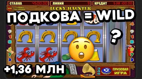 Казино wild на реальные деньги